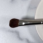 In the Shadow Brush
