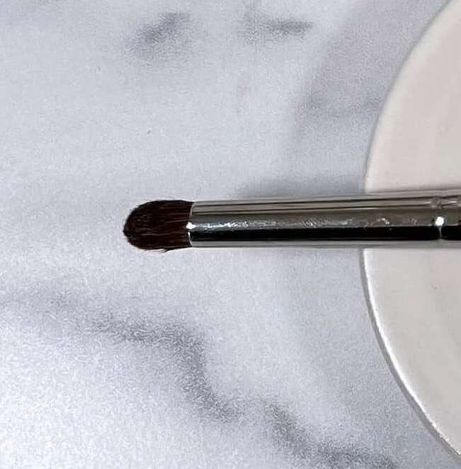 Socket to Me Brush